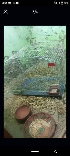 Cage, pinjra for sale 999