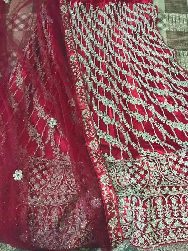 Lehnga choli 2