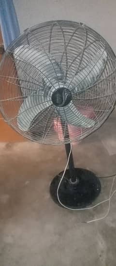 bhai bilkul on fan hy