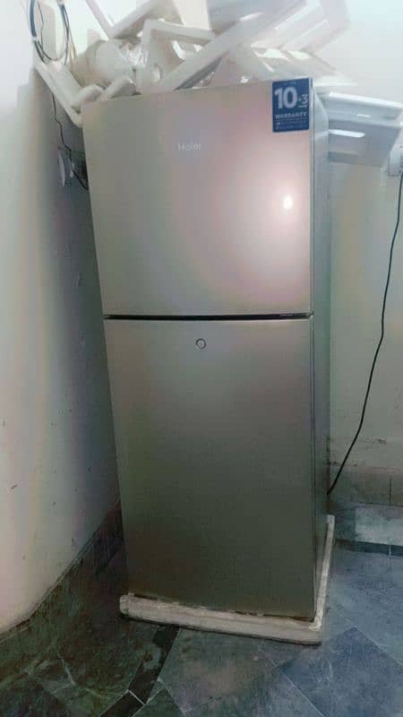 New Fridge 1