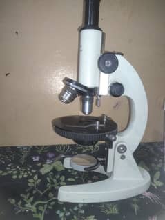 Light microscope