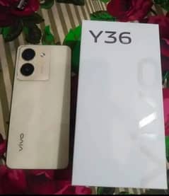 vivo y36  8/128 conditions 9.5