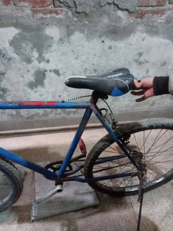 phonix bicycle good condition for sale cheap price 1