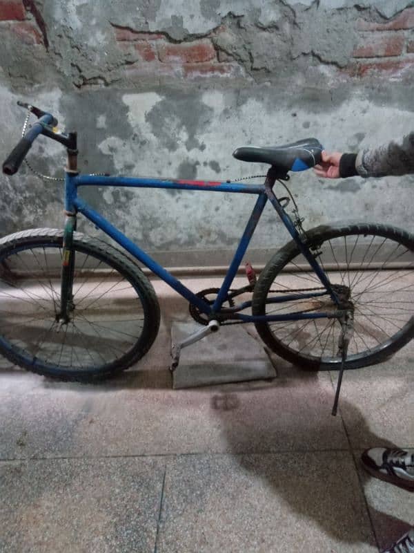 phonix bicycle good condition for sale cheap price 2