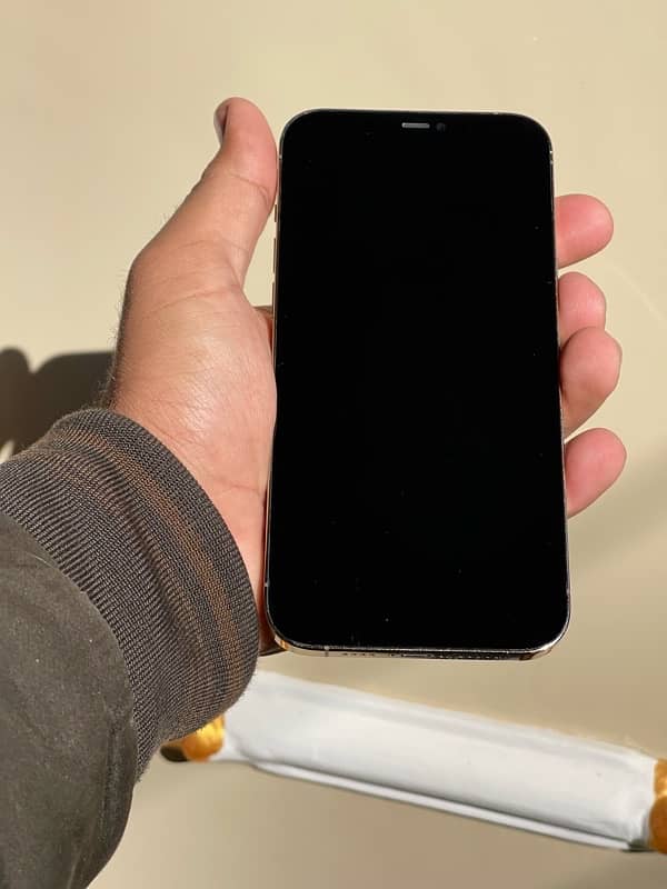 Iphone 12 Pro max (256 GB pta approved) 5