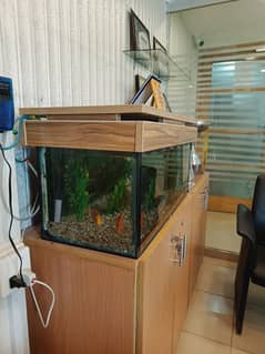 Aquarium for Sale