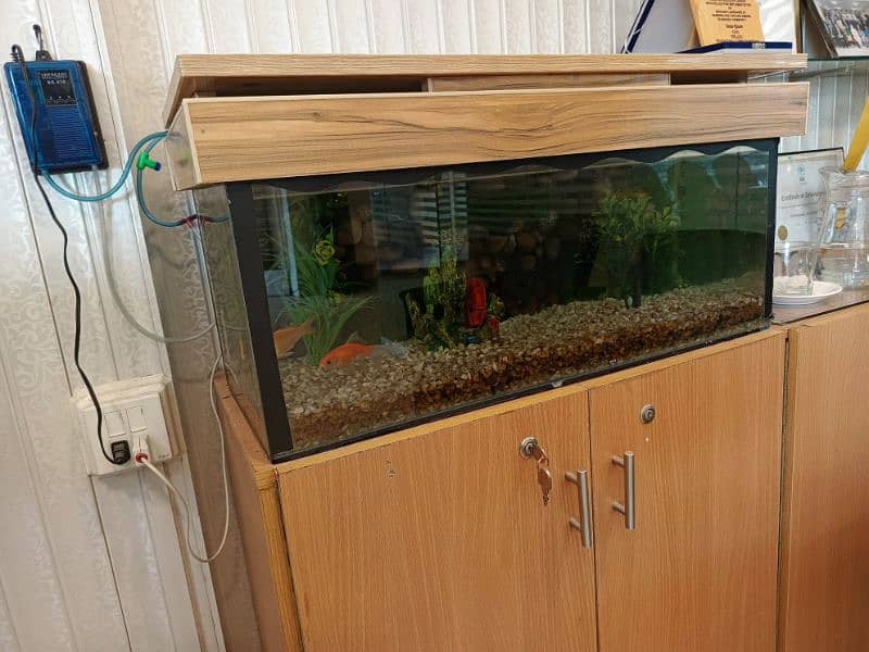 Aquarium for Sale 1