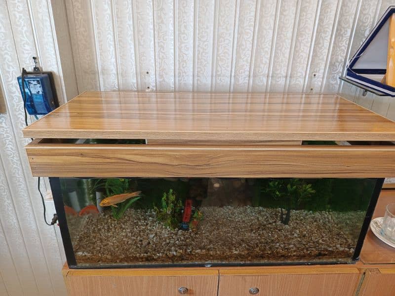 Aquarium for Sale 4