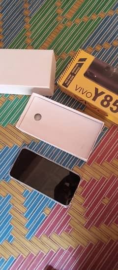 vivo