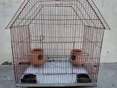 Clean And Spacious Cage For Parrots | All In One Cage | Pinjra