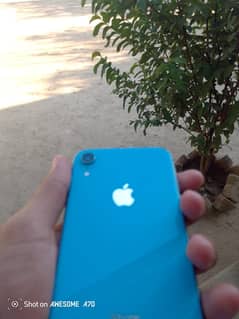 Apple iPhone XR