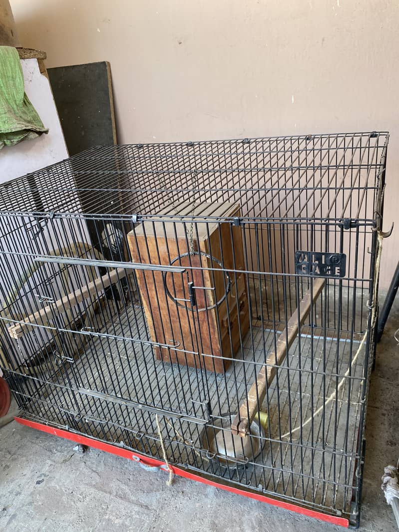 Lush Condition Big Size Parrots Cage 0