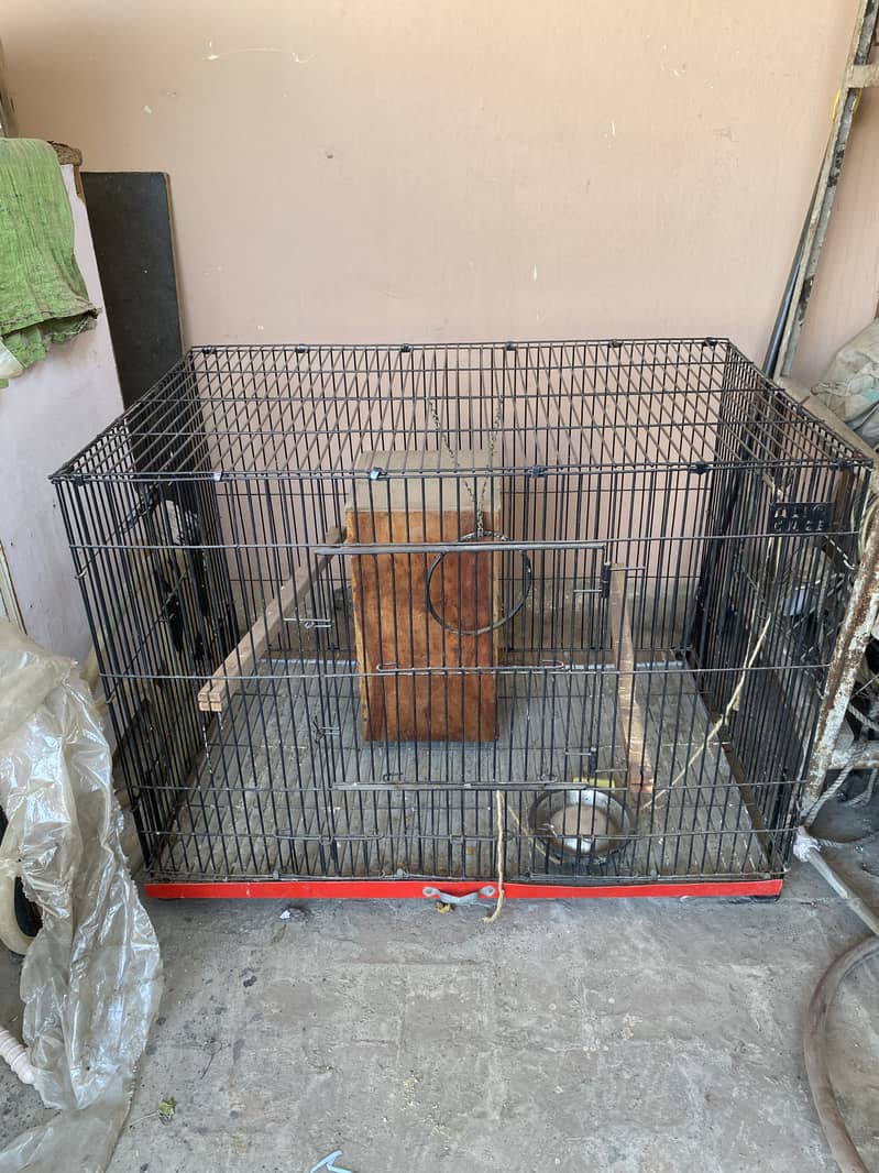 Lush Condition Big Size Parrots Cage 2