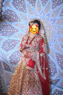 beauty full lehnga