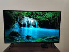 LED UHDTV 43"