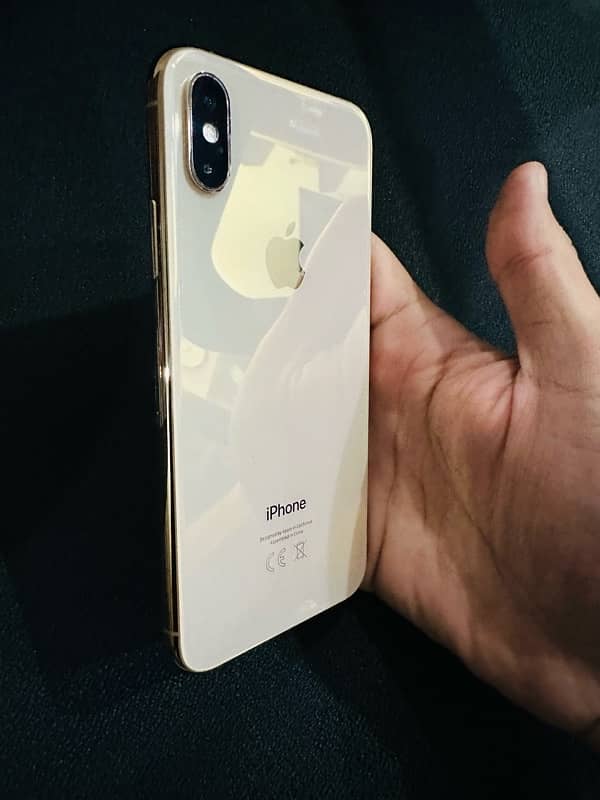 iPhone XS waterpack 10/10 1