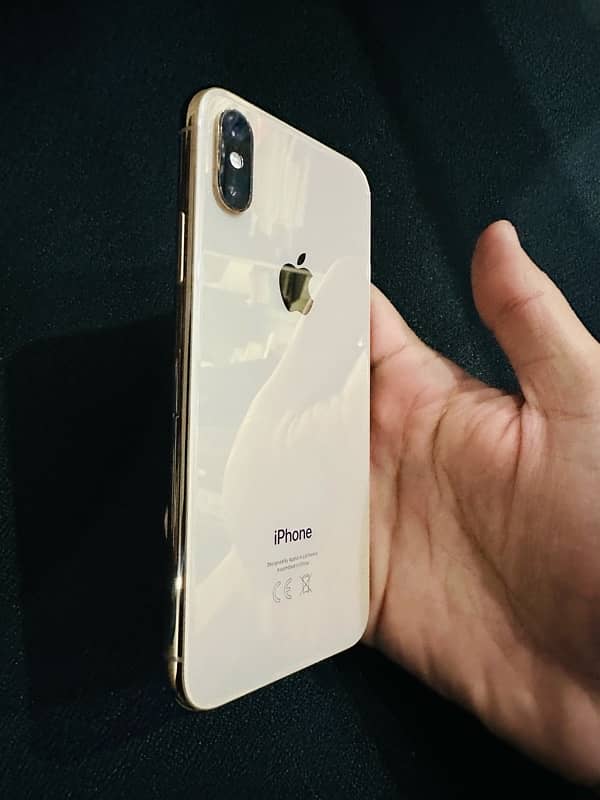 iPhone XS waterpack 10/10 2