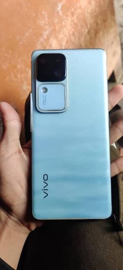 vivo