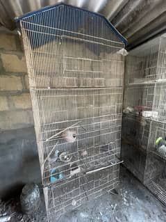 4 Cages in good condition