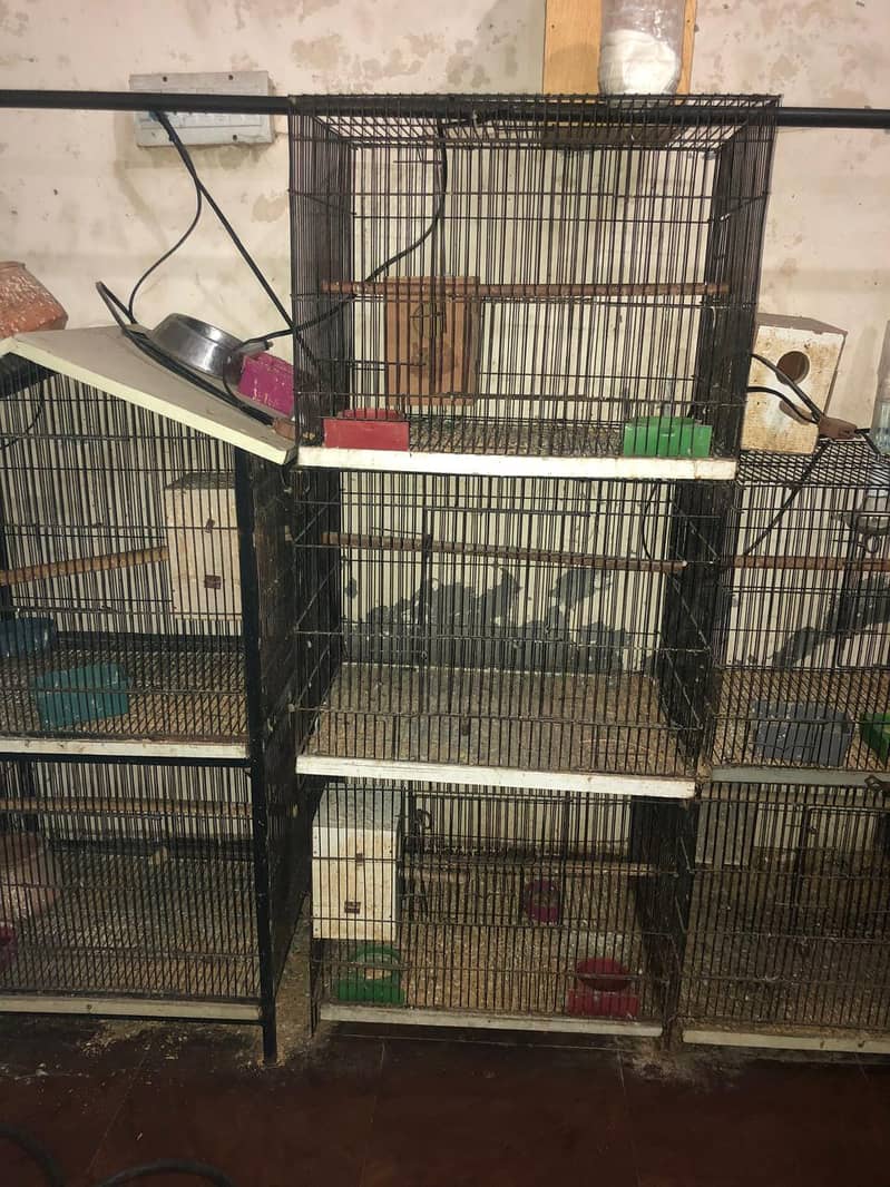 Parrot Cages 3/2 size 0