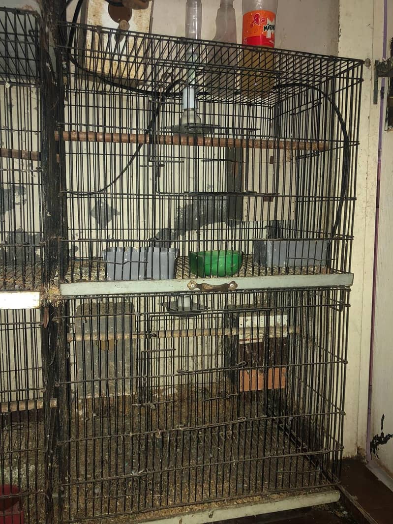 Parrot Cages 3/2 size 1