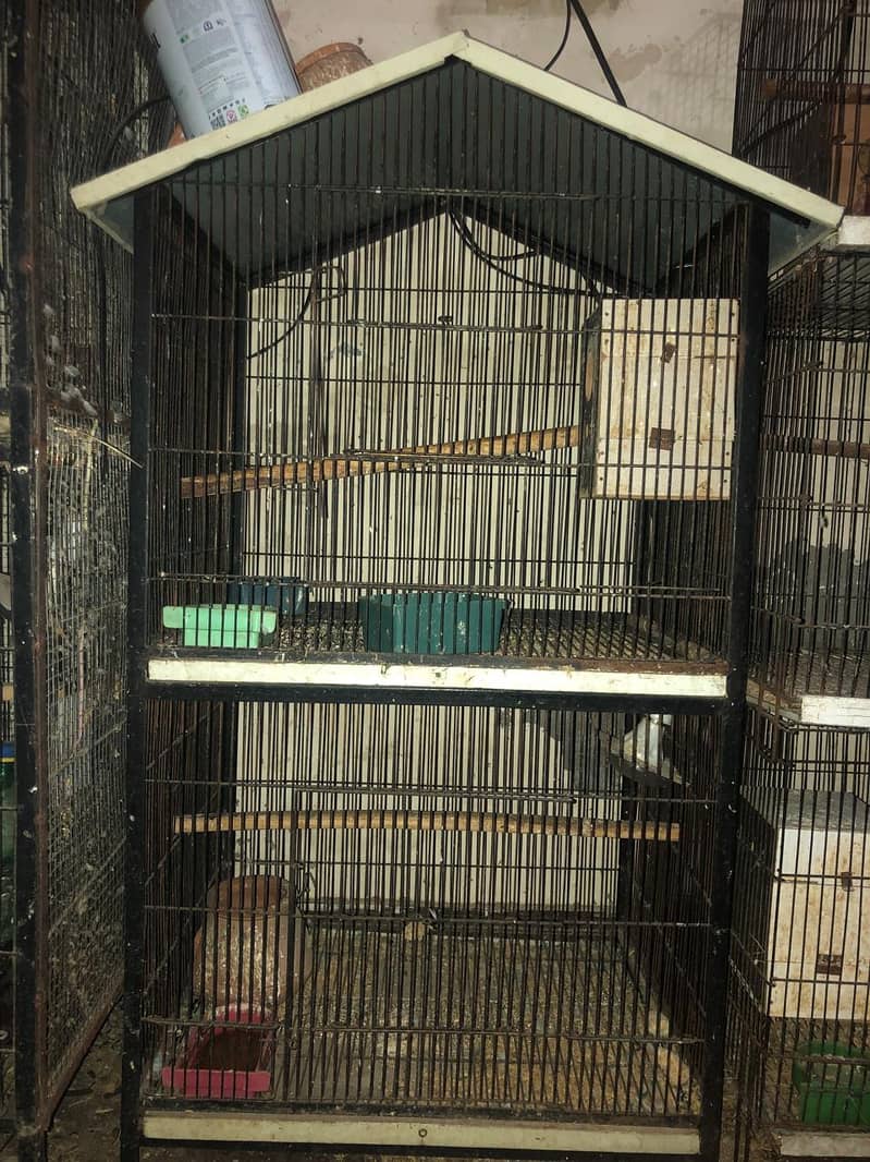 Parrot Cages 3/2 size 2