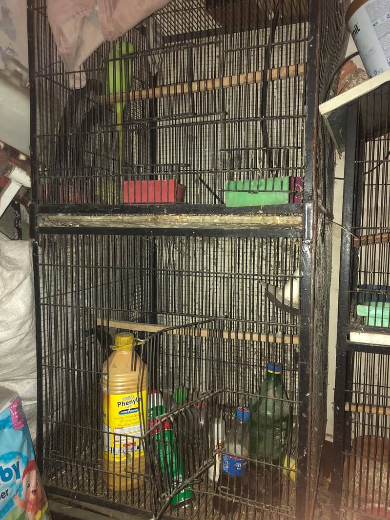 Parrot Cages 3/2 size 3