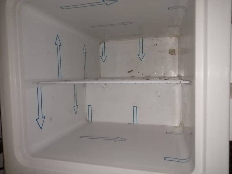 fridge and freezer 1