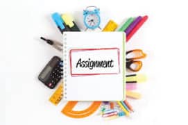 Hand written assignments