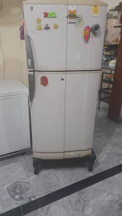 Pel Refrigerator