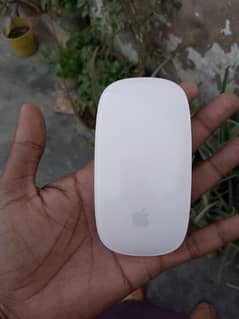 Apple magic 1 mouse