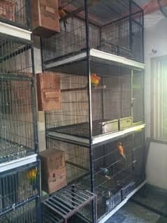 parrot cages