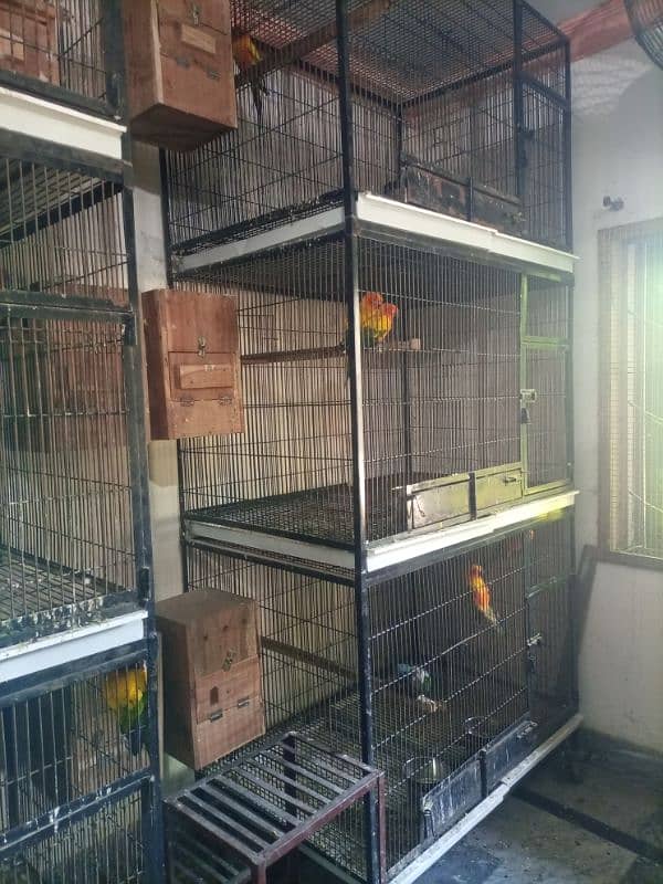 parrot cages 0