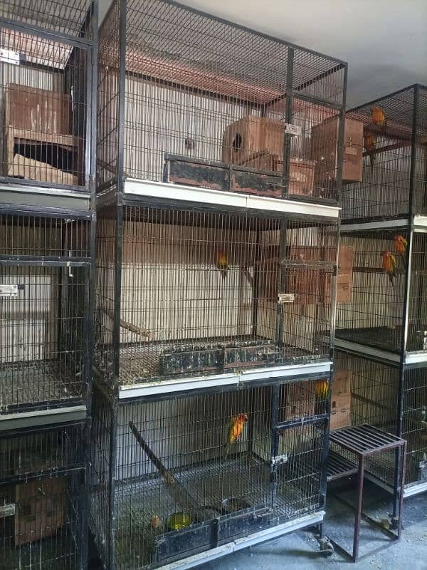 parrot cages 1