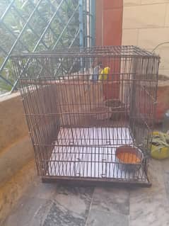 Cage Iron Top Quality For Sale