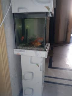 Fish's with Storage Space and stand for sale