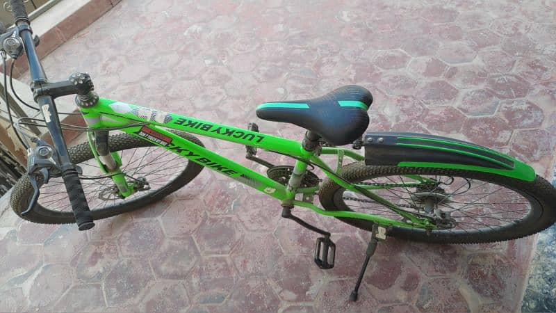 Green Lucky Bike a mountain bicycle with gears 2