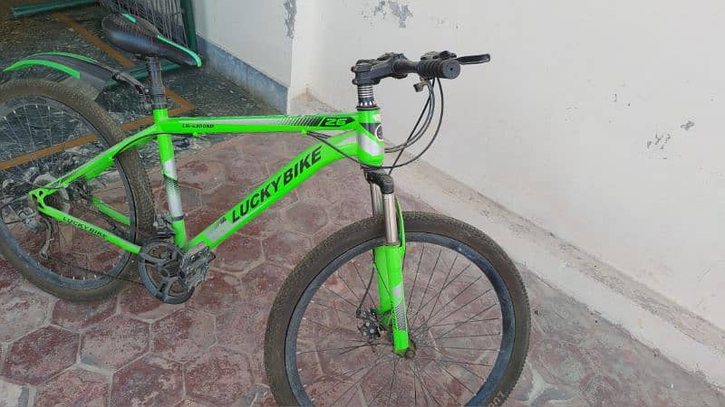 Green Lucky Bike a mountain bicycle with gears 1