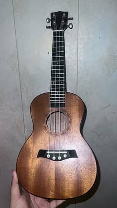 Professional Concert Size Ukulele brand new