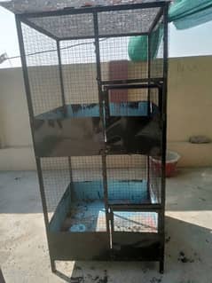 best cages for aseel hens