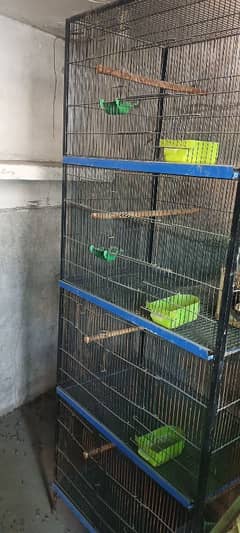 Used hen cages for sale in lahore