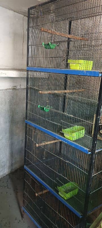 Used hen cages for sale in lahore 0