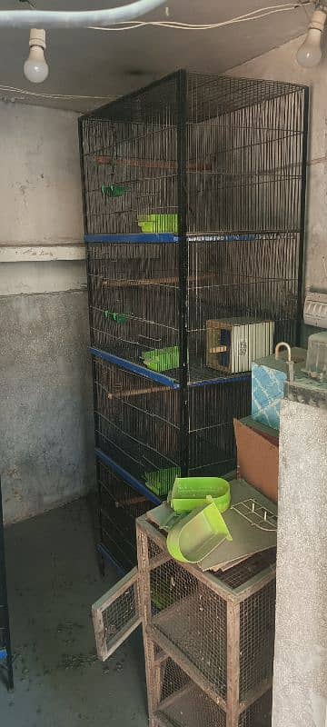 Used hen cages for sale in lahore 1