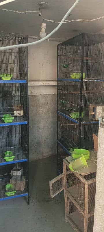 Used hen cages for sale in lahore 2