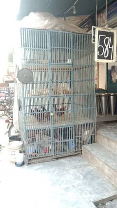 Broiler chicken cage for shop 03205913436