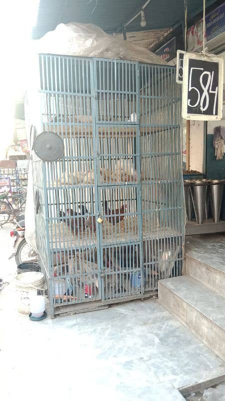 Broiler chicken cage for shop 03205913436 0