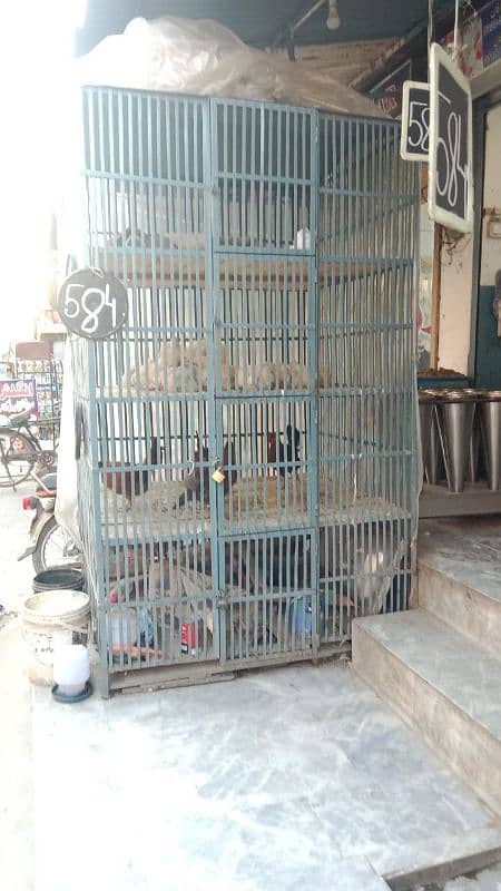 Broiler chicken cage for shop 03205913436 6