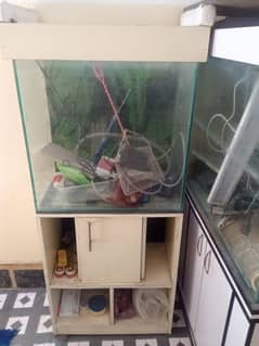 Fish Aquarium