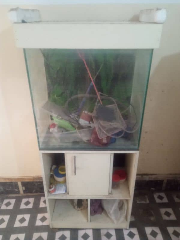 Fish Aquarium 1