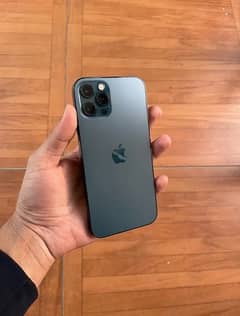 iphone 12 pro pta approved